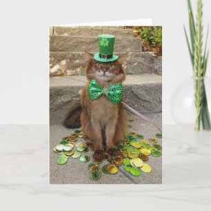St. Patrick's Day Kabouter Somalische Kat Met Hoed Kaart