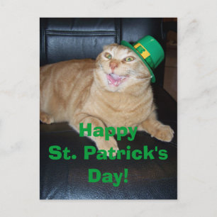 St Patrick's Day Leprechaun Cat Briefkaart