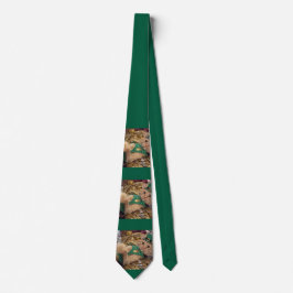 St Patrick's Day Leprechaun Cat  Stropdas
