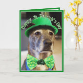 St Patrick's Day Lucky Dog Kaart (Gele Bloem)