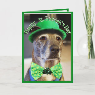 St Patrick's Day Lucky Dog Kaart