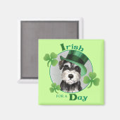 St. Patrick's Day Miniature Schnauzer Magneet (Voorkant / Achterkant)