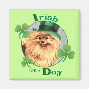 St. Patrick's Day Pommeren Magneet