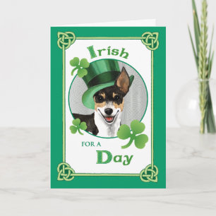 St. Patrick's Day Rat Terrier Kaart