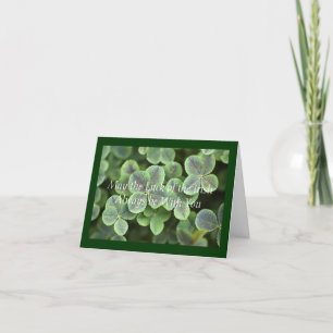 St. Patrick's Day Shamrocks Kaart