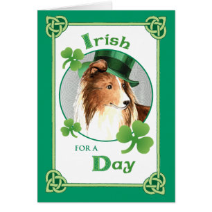 St. Patrick's Day Sheltie