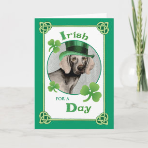 St. Patrick's Day Weimaraner Kaart