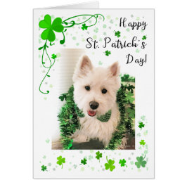 St. Patrick's Day West Highland Terrier