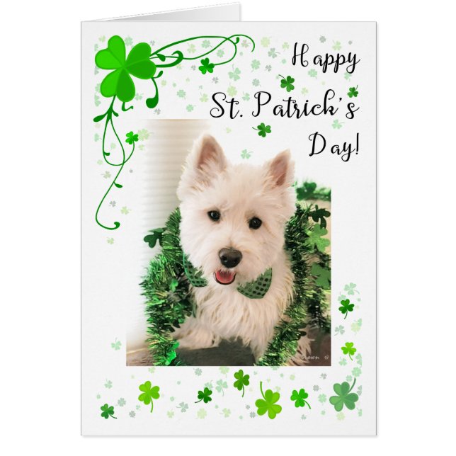 St. Patrick's Day West Highland Terrier (Voorkant)