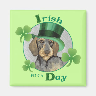 St. Patrick's Day Wirehaire Dachshund Magneet