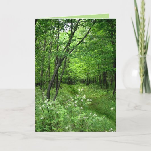 St. Patrick's Day: Woodland Path Kaart (Voorkant)