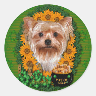 St Patricks - Pot Gold - Yorkshire Terrier Ronde Sticker