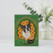 St Patricks - Pot of Gold - Boston Terrier Briefkaart (Staand voorkant)