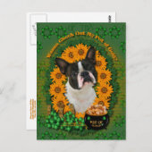 St Patricks - Pot of Gold - Boston Terrier Briefkaart (Voorkant / Achterkant)