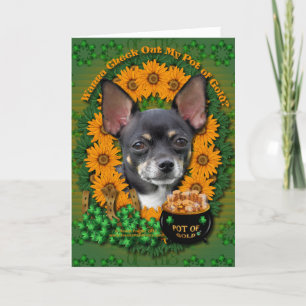 St Patricks - Pot of Gold - Chihuahua - Isabella Kaart