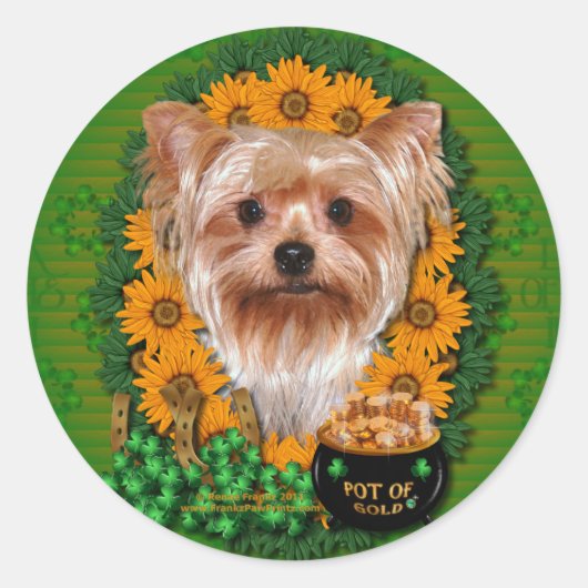 St Patricks - Pot of Gold - Yorkshire Terrier Ronde Sticker (Voorkant)