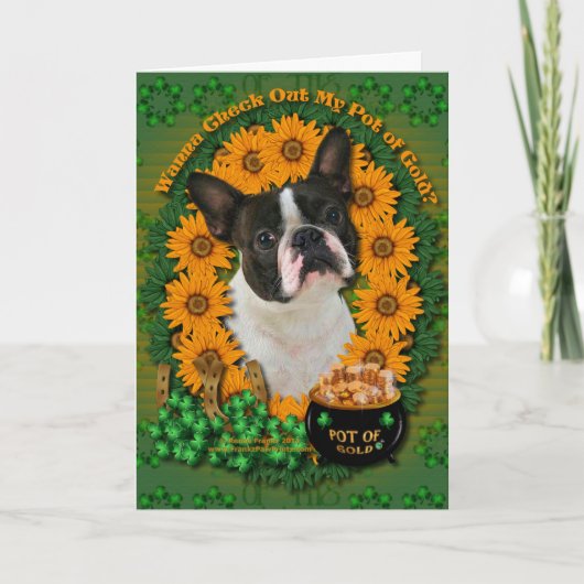 St Patricks - Pot van Goud - Boston Terrier Kaart (Voorkant)