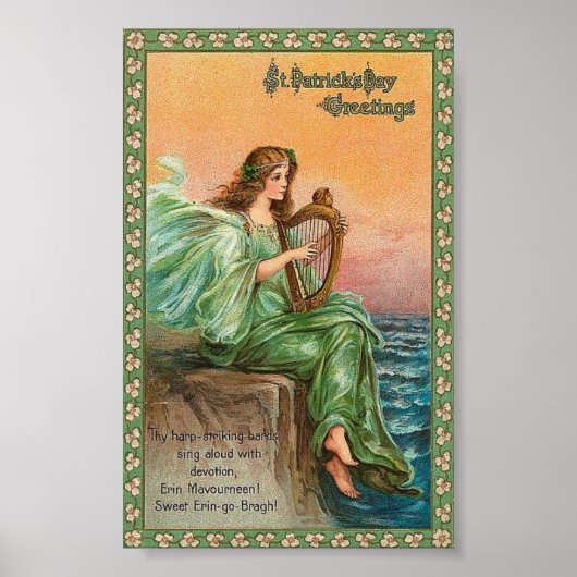 St. Pat's Harp Poster (Voorkant)