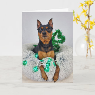 St Pats MinPin Kaart