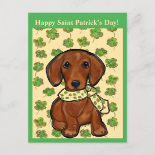 St.Patty Doxie Briefkaart