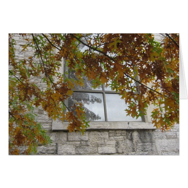 St. Paul's Autumn Oak (Voorkant Horizontaal)