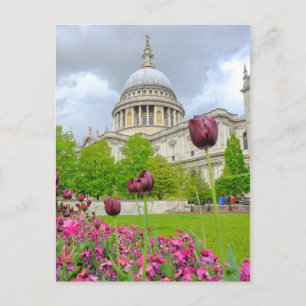 St.Paul's Cathedral London UK Carte postale