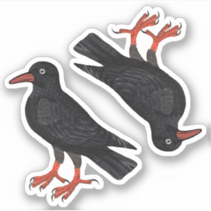 St. Piran's Day / St. Thomas Becket Choughs (fL) - Sticker