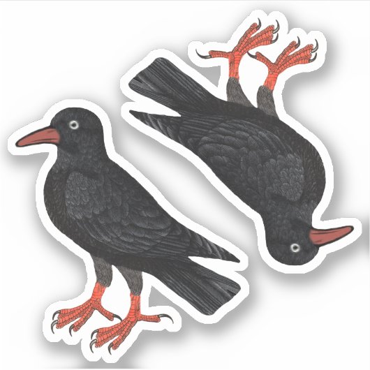 St. Piran's Day / St. Thomas Becket Choughs (fL) - Sticker (Voorkant)