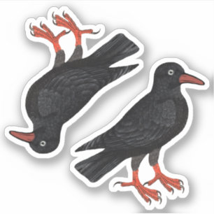 St. Piran's Day / St. Thomas Becket Choughs (fR) - Sticker