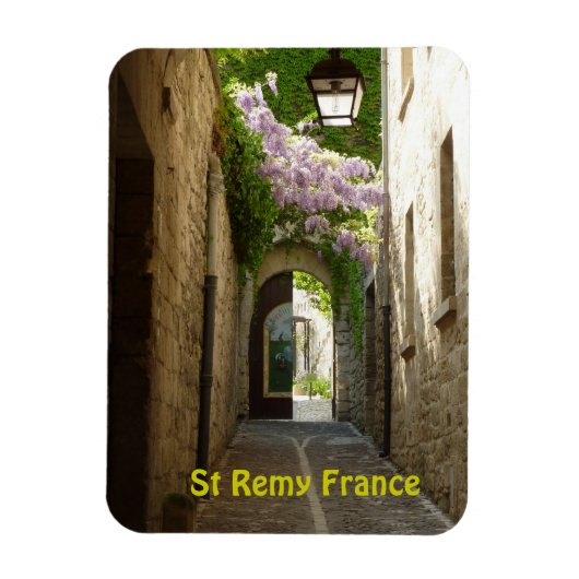 St Remy France magneet (Verticaal)