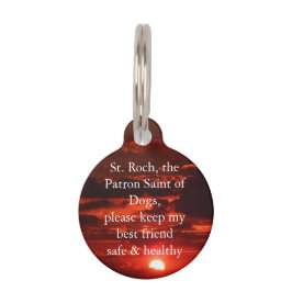 St. Roch, Patron Saint of Dogs Huisdierpenning