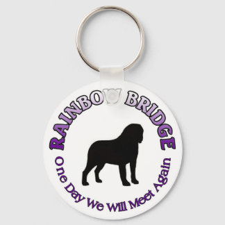 ST. SAINT BERNARD RAINBOW BRIDGE SYMPATHY SLEUTELH SLEUTELHANGER
