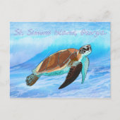St. Simons Island, GA Sea Turtle Carte postale (Devant)