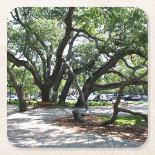 St Simons Island GA Wandering Oak Foto Vierkante Kartonnen Onderzetter