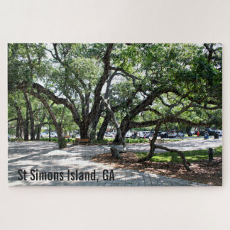 St Simons Island Live Oak Trees Legpuzzel