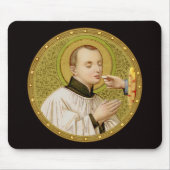 St. Stanislaus Kostka (SNV 25) (Rnd Im) Horiz Muismat (Voorkant)