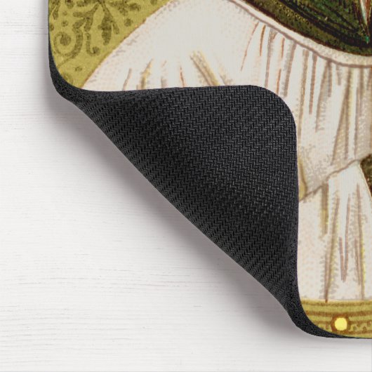 St. Stanislaus Kostka (SNV 25) (SQu Im) Vert Muismat (Hoek)