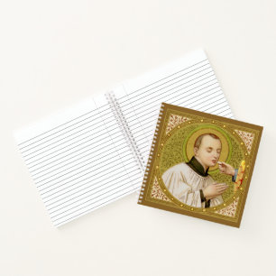St. Stanislaus Kostka (SNV 25) (Square Afbeelding) Notitieboek