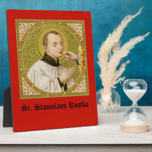 St. Stanislaus (SNV 25) (Vierkant Beeld) 20x25cm Fotoplaat