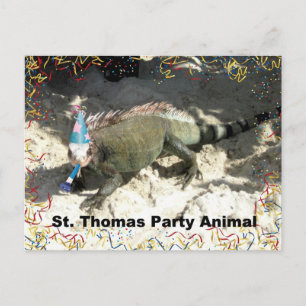 St. Thomas Party Animal! Briefkaart