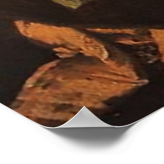 St Veronicas Veil Saint-Visage Image 03B Poster (Coin)