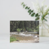 St Vrain River, Colorado Briefkaart (Staand voorkant)