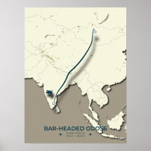 Staafkoppige ganzenmigratiekaart – minimalistisch poster