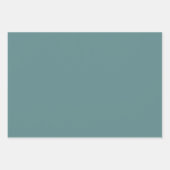 Staal Blauwgroen vaste kleur Inpakpapier Vel (Voorkant 3)