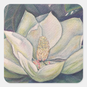 Staal Magnolia Bloem Vierkante Sticker