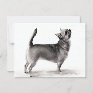 Staande Chihuahua Hand geschilderde hond kunstwerk Briefkaart