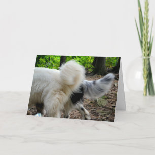 Staart die Manieren/de Kaart van het Jubileum