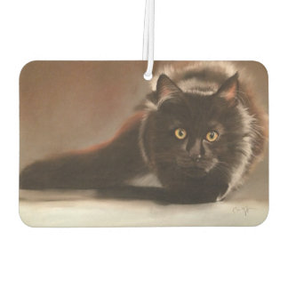 "staart" tekening in het droge stel luchtverfrisser