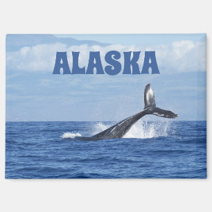 Staart van de walvis Schitterende Oceanische Alask Magneet