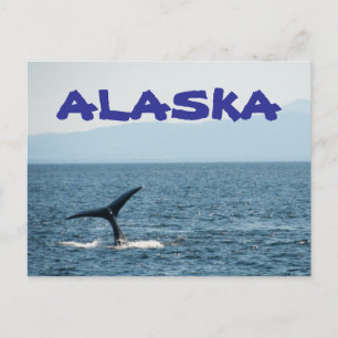Staart van een walvis Schitterend Alaska ansichtka Briefkaart